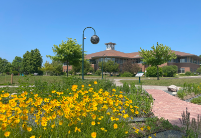 Library building with yellow flowers in the foreground