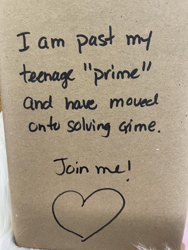 Book in brown paper that says I'm past my teenage prime and I've moved on to solving crime. Join me!