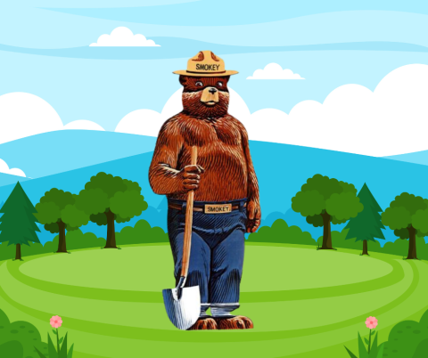 Smokey Bear in the forest