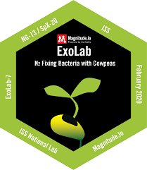 exolab