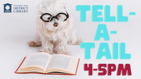 Dog reading a book for Tell-A-Tail Event - 4-5pm