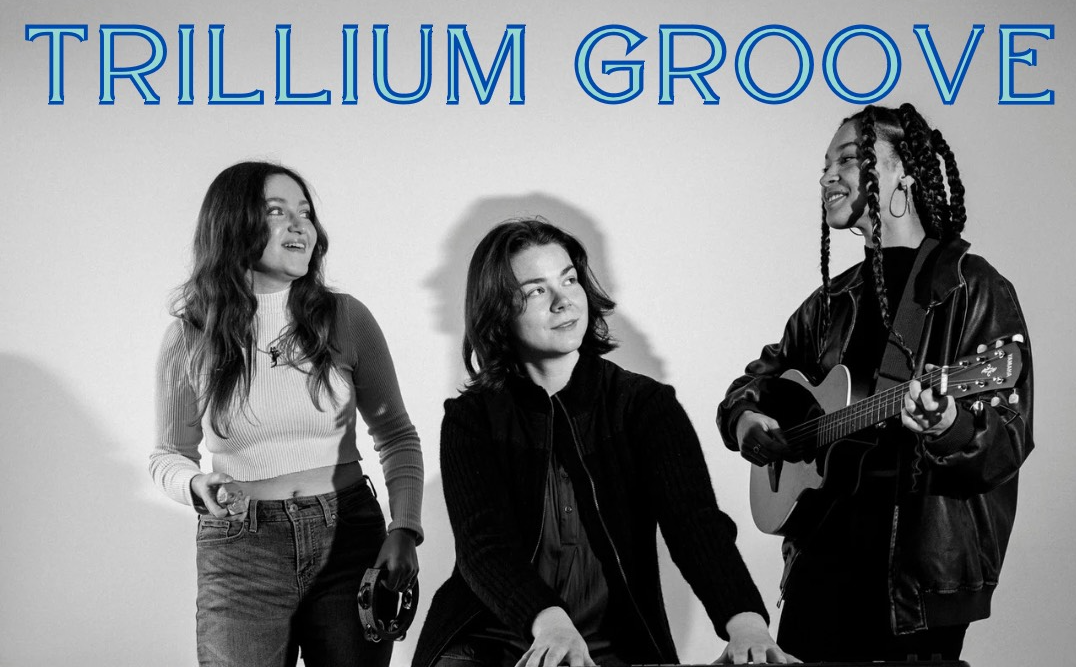 Picture of Trillium Groove - band.