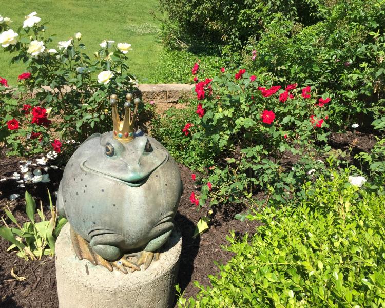 Frog prince statue with roses