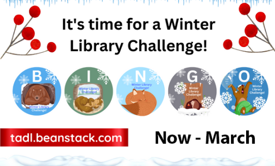 Winter Library Challenge Bingo poster