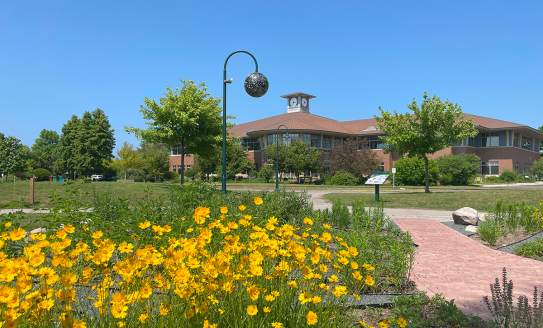 Library building with yellow flowers in the foreground