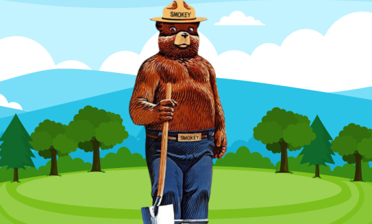 Smokey Bear in the woods