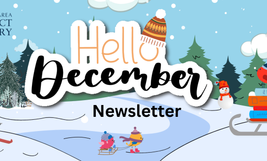 Birds skating and sledding with Hello December newsletter