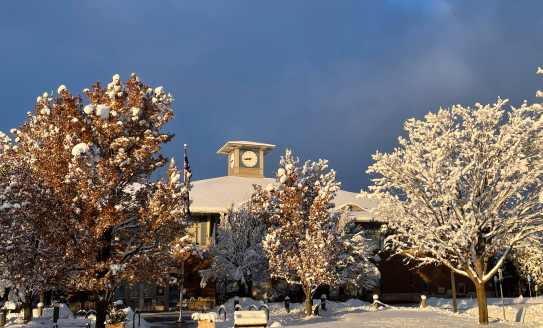 Photo of a snowy Woodmere library